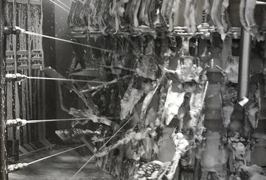 Cleaning of poultry eviscerator Cleaning of poultry eviscerator