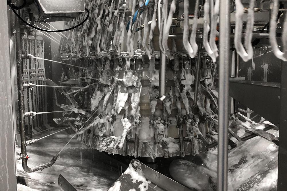 Eviscerator cleaning Eviscerator cleaning