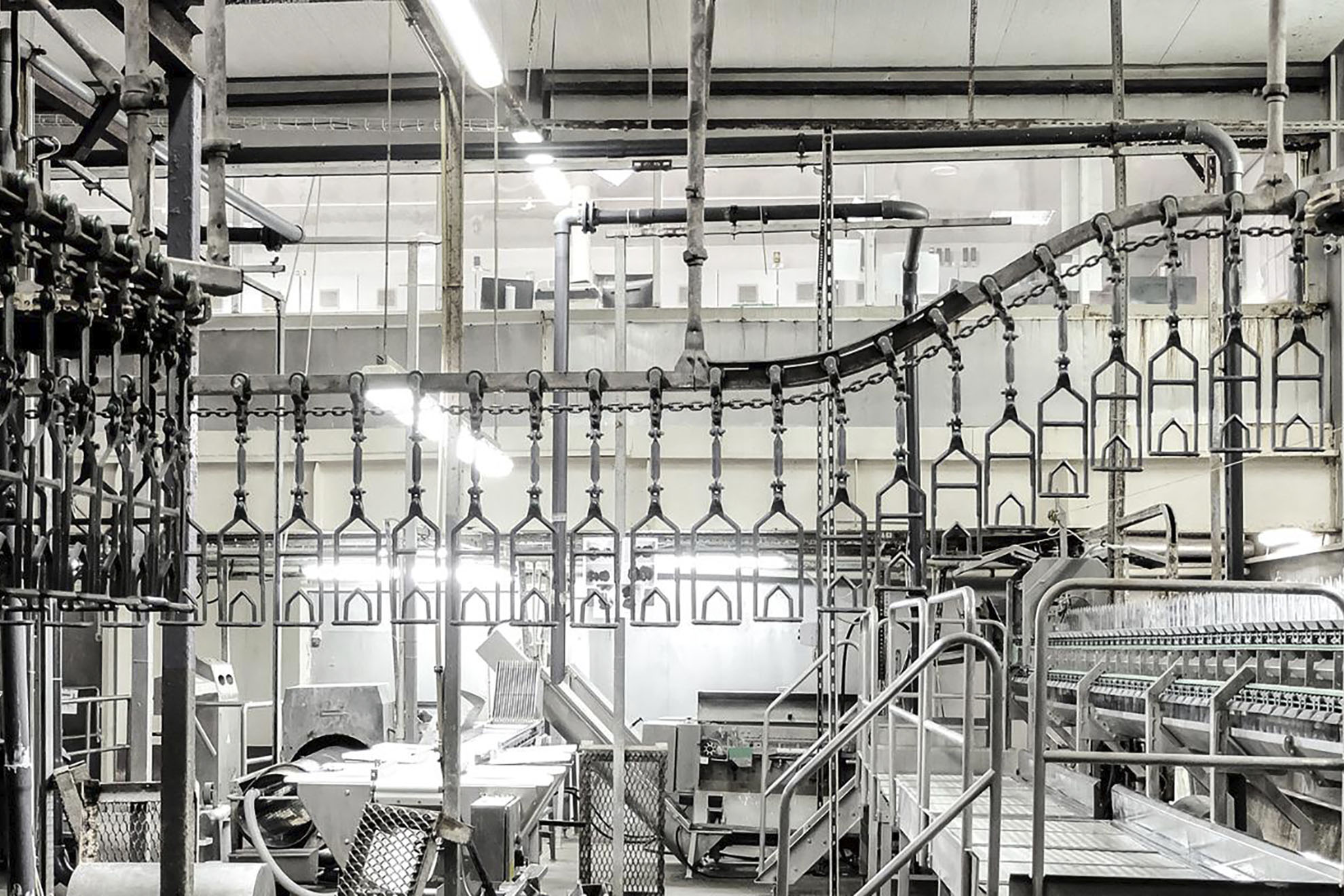 Automatic Cleaning Solution Poultry Processing